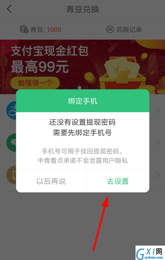 在中青看点中提现收益的方法介绍截图