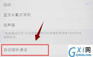 iPhone中取消自动接听的具体介绍截图
