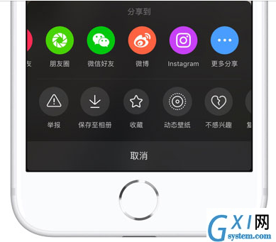 iPhone中下载无水印抖音视频方法截图