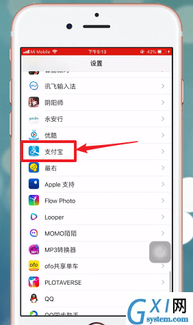 支付宝设置摄像头权限的图文操作截图