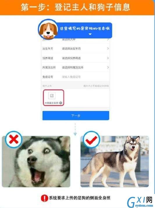 使用支付宝APP办理狗证的操作过程截图