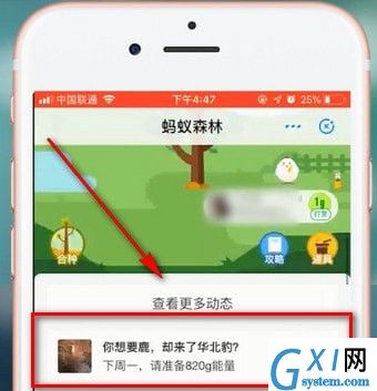 在支付宝蚂蚁森林里领取华北豹的图文操作截图