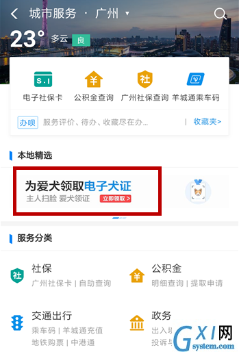 使用支付宝刷脸领取狗证的详细操作截图