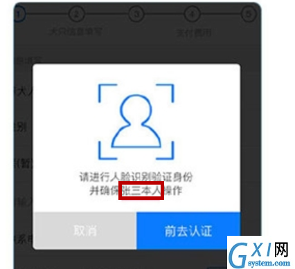 使用支付宝刷脸领取狗证的详细操作截图