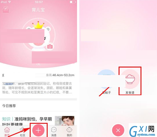 育儿宝APP发食谱的简单操作截图