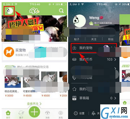 握爪宠物app添加宠物的操作流程截图