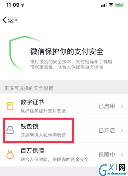 微信钱包提高安全性的操作技巧截图