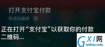 支付宝使用语音支付的操作流程截图