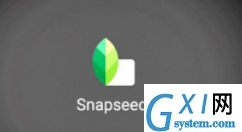 利用snapseed调整画面倾斜程度的详细操作