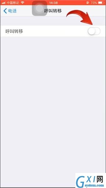 苹果手机中设置呼叫转移的具体操作步骤截图