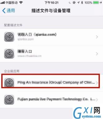 iPhonexs max添加信任的操作步骤截图