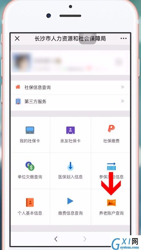 微信查询养老保险的操作步骤截图