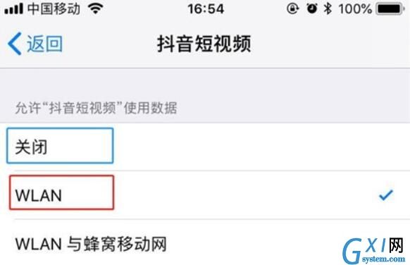 iPhone11pro max设置应用禁止使用流量的方法步骤截图