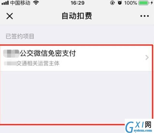 iPhone11pro max关闭微信免密支付的方法步骤截图