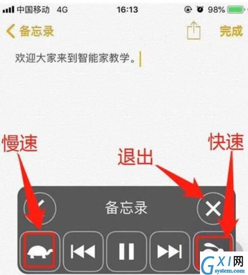 iphone11朗读屏幕的方法步骤截图