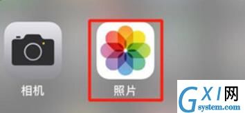 iPhone11pro max进行搜索照片的操作步骤截图