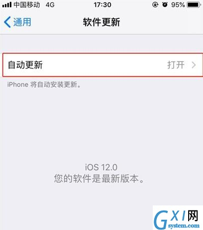 iPhone11pro max关掉系统自动更新的简单操作截图