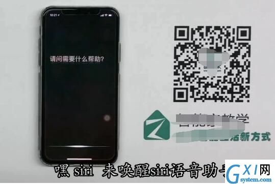 iPhone X唤醒siri的具体方法截图