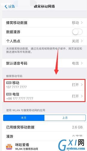 iPhoneXR中设置双卡标签的详细步骤截图