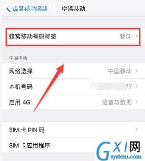 iPhoneXR中设置双卡标签的详细步骤截图