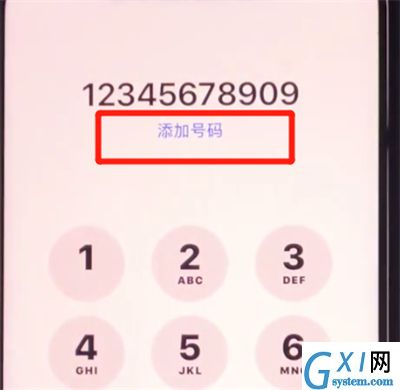 iphone11中添加联系人的简单过程截图