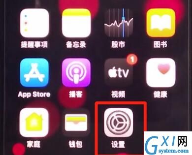 iphone11中设置Siri语言的具体方法截图