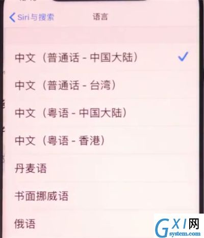 iphone11中设置Siri语言的具体方法截图