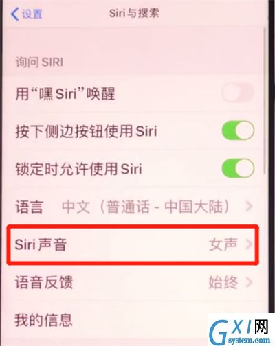 iphone11中设置siri性别的详细方法截图