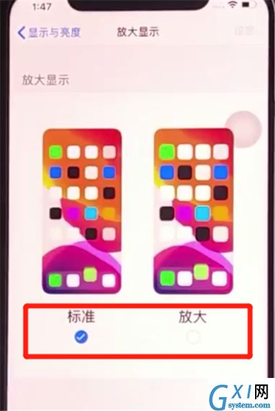 iphone11更改图标大小基本方法截图