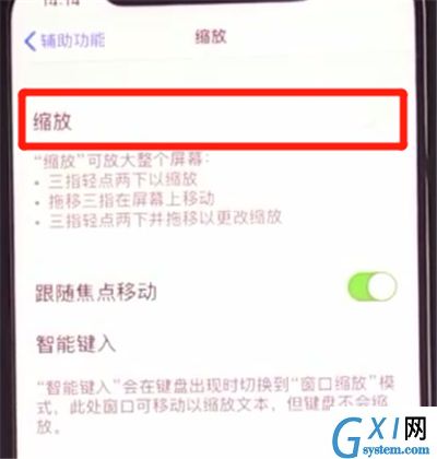 iphone11中使用缩放的方法步骤截图