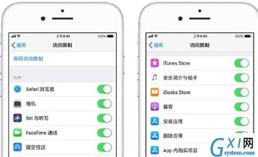 iOS使用访问限制的详细讲解截图