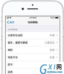 iOS使用访问限制的详细讲解截图