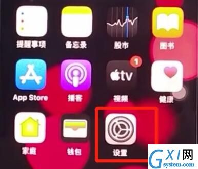 iphone11中设置抬起亮屏的方法步骤截图