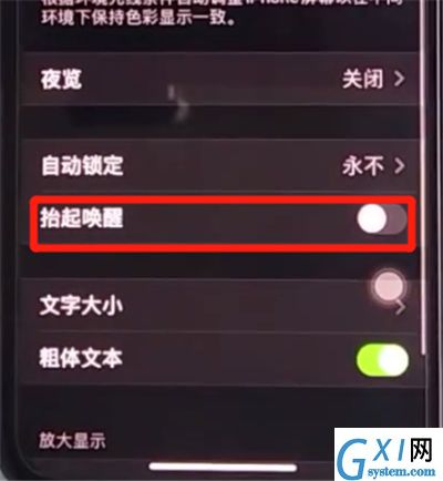 iphone11中设置抬起亮屏的方法步骤截图