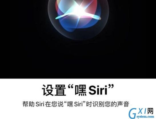 苹果11召唤SIRI的操作过程讲解截图