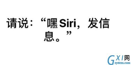 苹果11召唤SIRI的操作过程讲解截图