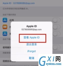 苹果手机绑定微信付款的操作教程截图