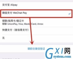 苹果手机绑定微信付款的操作教程截图