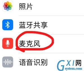 苹果手机游戏麦克风权限打开方法讲解截图