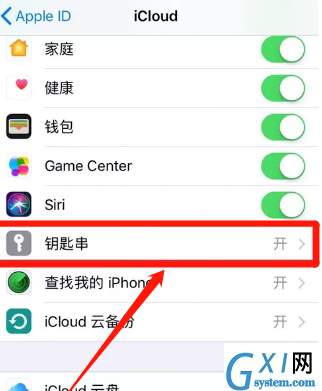 iPhone11怎么设置iCloud钥匙串 iPhone11设置iCloud钥匙串方法截图