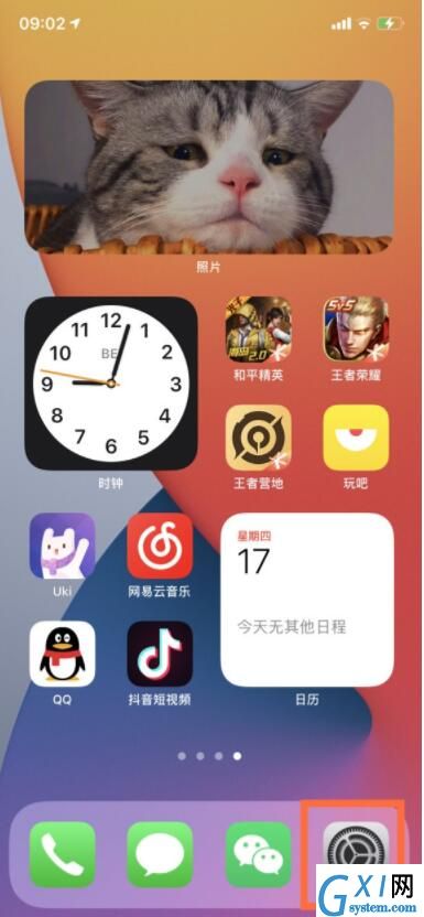 ios14镜像怎么关闭 ios14镜像关闭教程截图