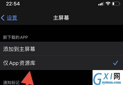 ios14下载到桌面不显示?ios14下载的app在桌面显示方法截图