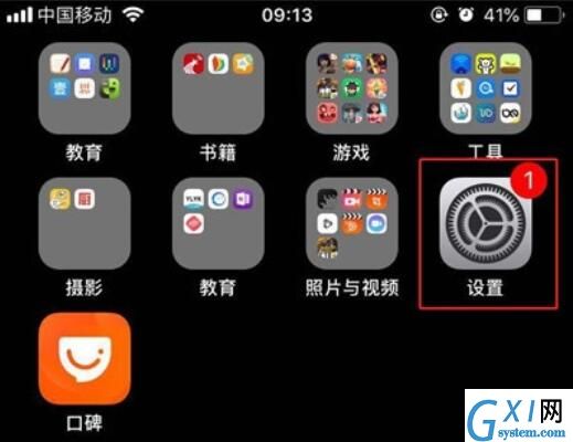 iPhone11pro max查看内存情况的操作流程截图