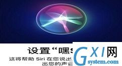 苹果12Siri没有声音怎么回事 苹果12Siri没有声音解决方法