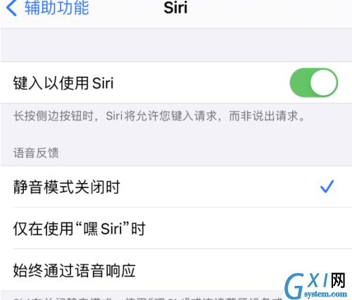 如何开启iPhone12语音助手Siri?iPhone12语音助手Siri开启方法截图