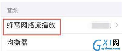 iPhone12怎么听无损音乐?iPhone12设置听无损音乐的方法截图