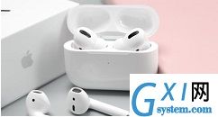 AirPods Pro支持查找功能怎么使用?AirPods Pro使用查找airpods的方法截图