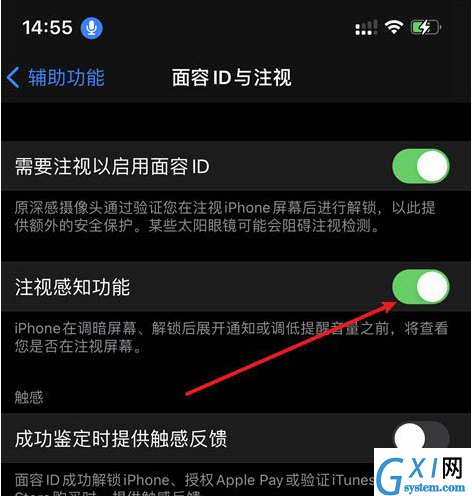 如何关闭iPhone12注视感知?iPhone12关闭注视感知功能讲解截图