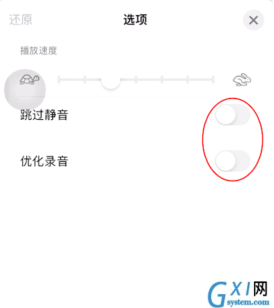 iOS15如何开启语音备忘录跳过静音?iOS15语音备忘录跳过静音开启方法截图