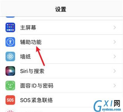 iOS怎样轻点手机背后打开健康码?iOS轻点手机背后打开健康码的方法截图